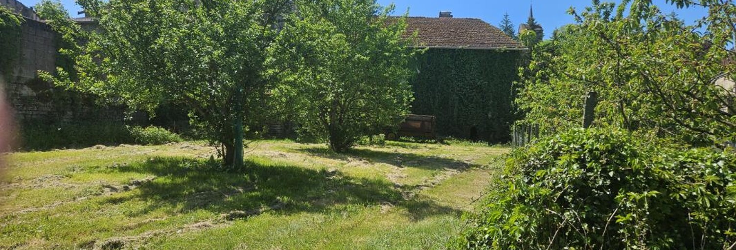 Maison 6 Pièces 330 m² à vendre à Varennes-sur-Amance (52400)