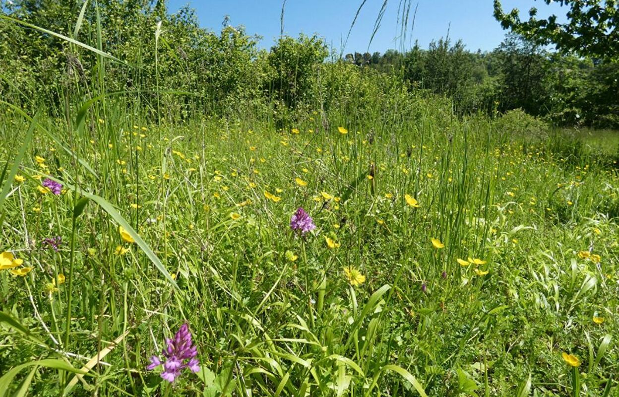 terrain  pièces 2170 m2 à vendre à Puylaroque (82240)