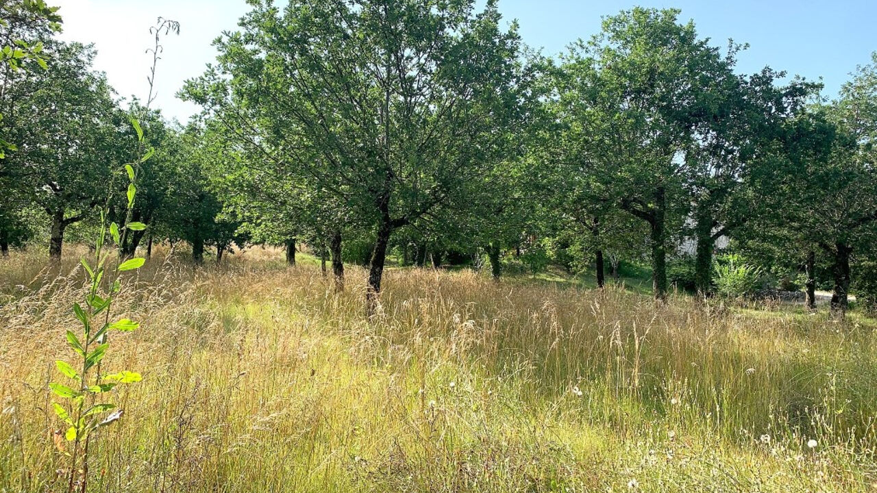 terrain  pièces 2133 m2 à vendre à Cahors (46000)