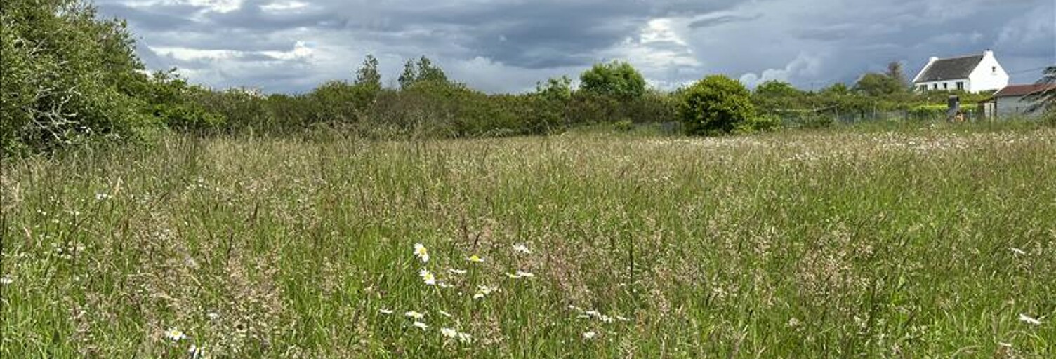 Terrain  1355 m² à vendre à Camaret-sur-Mer (29570)