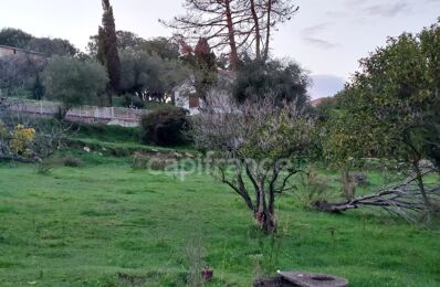 vente maison 690 000 € à proximité de Haute-Corse (2B)