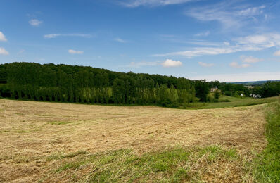 terrain  pièces 18000 m2 à vendre à Riscle (32400)