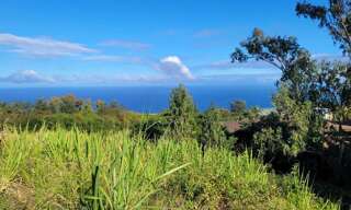 Terrain  1131 m² à vendre à Saint-Leu (97424)