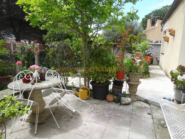 Réf. 10 013 - VENTE AVEC RESERVE DU DROIT D'USAGE ET D'HABITATION - TREBES (11) — photo 1