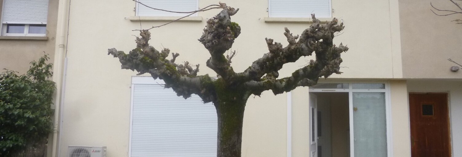 Maison 5 Pièces 102 m² à vendre à Saint-Juéry (81160)