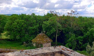 Photo N° 5