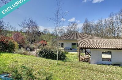 vente maison 295 000 € à proximité de Saint-Amans-de-Pellagal (82110)