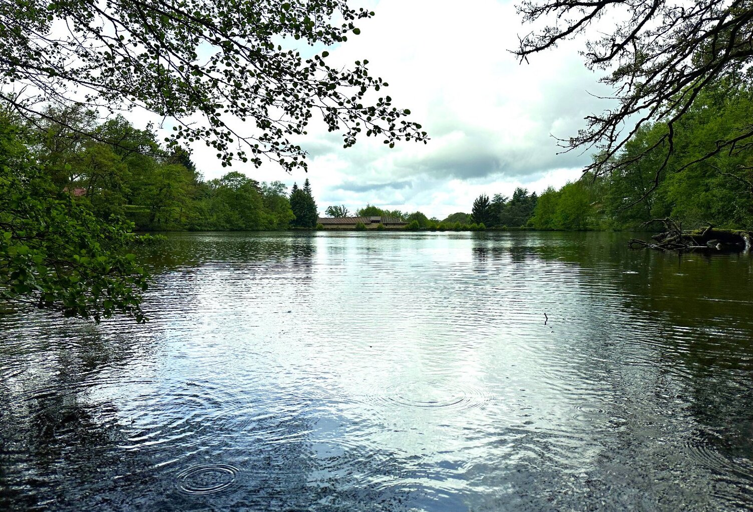 Propriété — photo 1