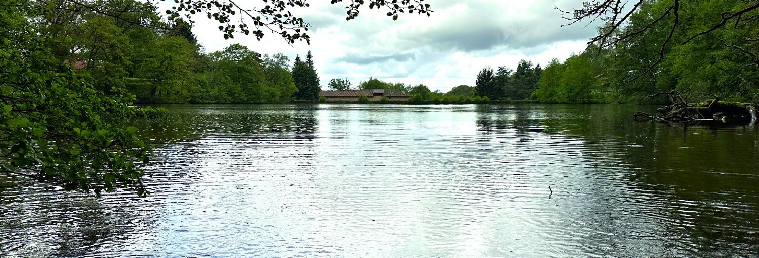 Maison 9 Pièces 467 m² à vendre à Limoges (87000)