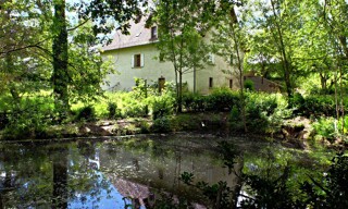 Photo N° 6