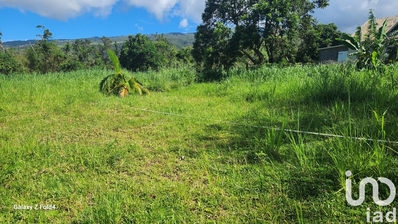 terrain  pièces 300 m2 à vendre à Saint-Denis (97400)