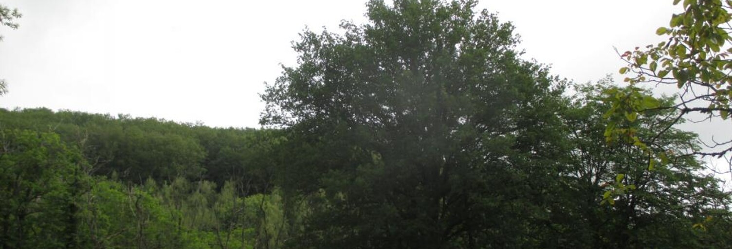 Maison  35495 m² à vendre à Sainte-Foy-de-Belvès (24170)