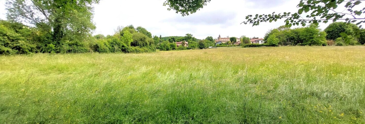 Terrain  6200 m² à vendre à Sepx (31360)