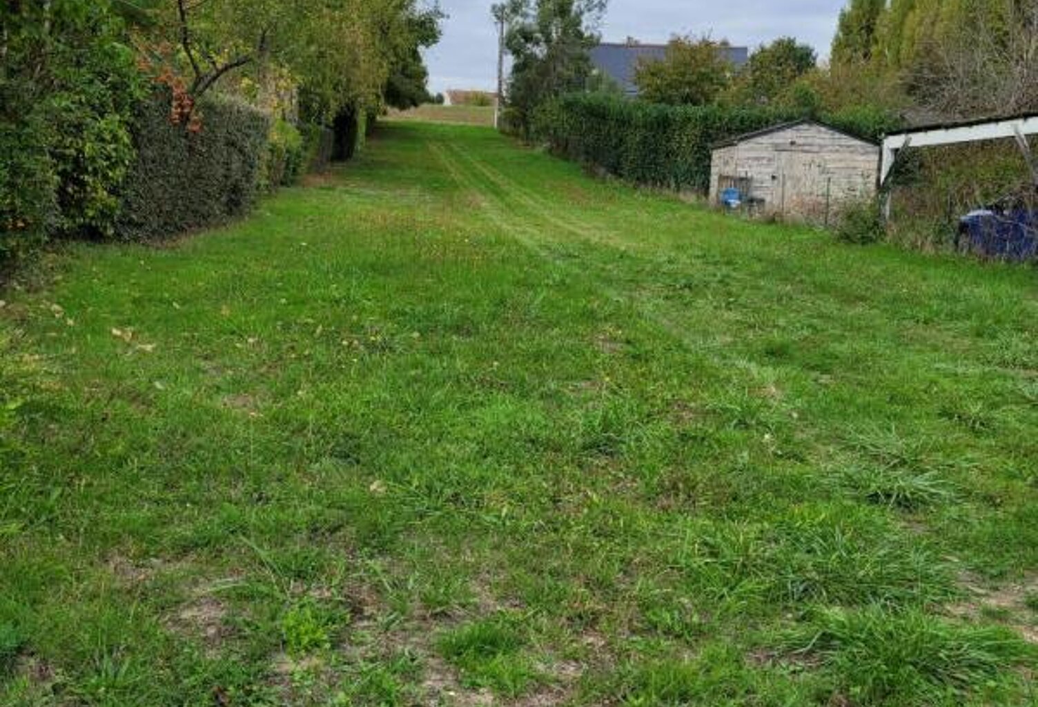 Terrain Neuille Le Lierre 1139 m2 — photo 1