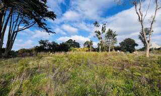 Terrain  908 m² à vendre à Ploulec'h (22300)