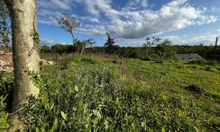 Terrain  774 m² à vendre à Ploulec'h (22300)