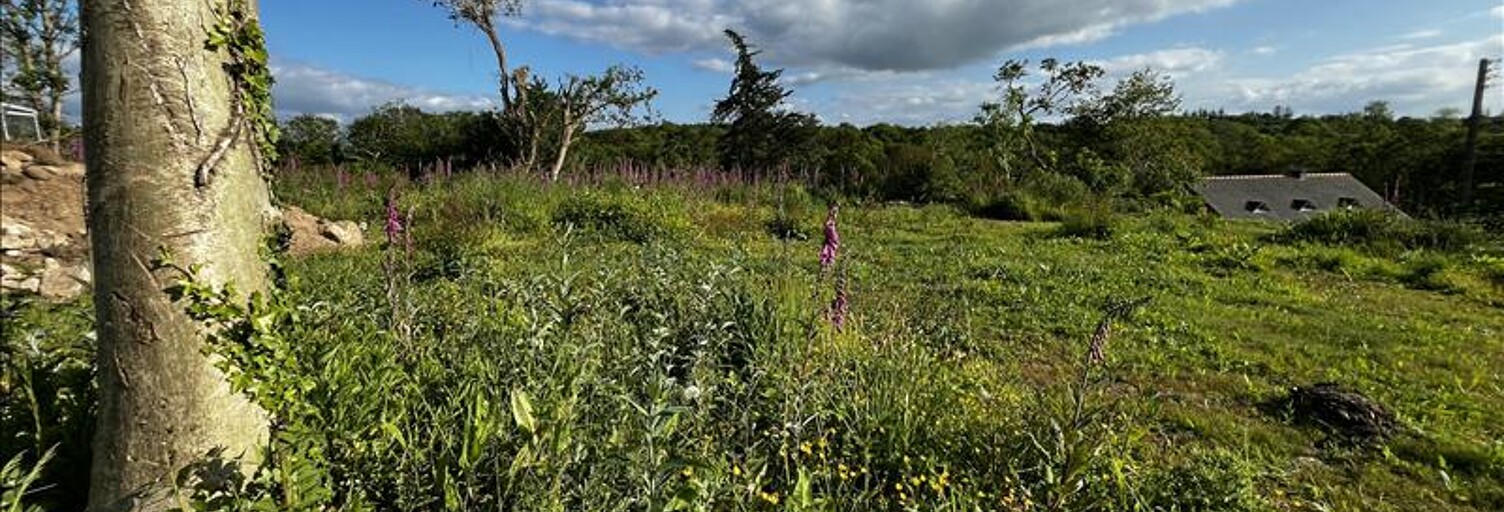 Terrain  774 m² à vendre à Ploulec'h (22300)
