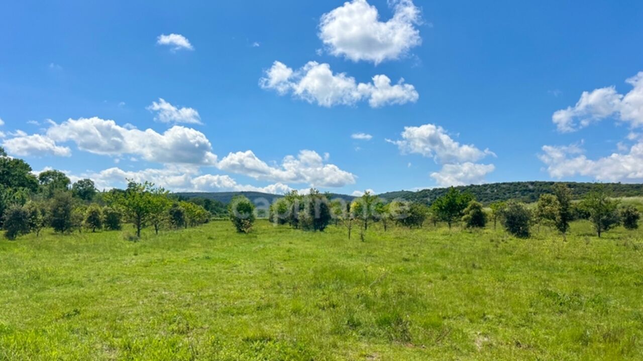 terrain  pièces 16000 m2 à vendre à Montarnaud (34570)