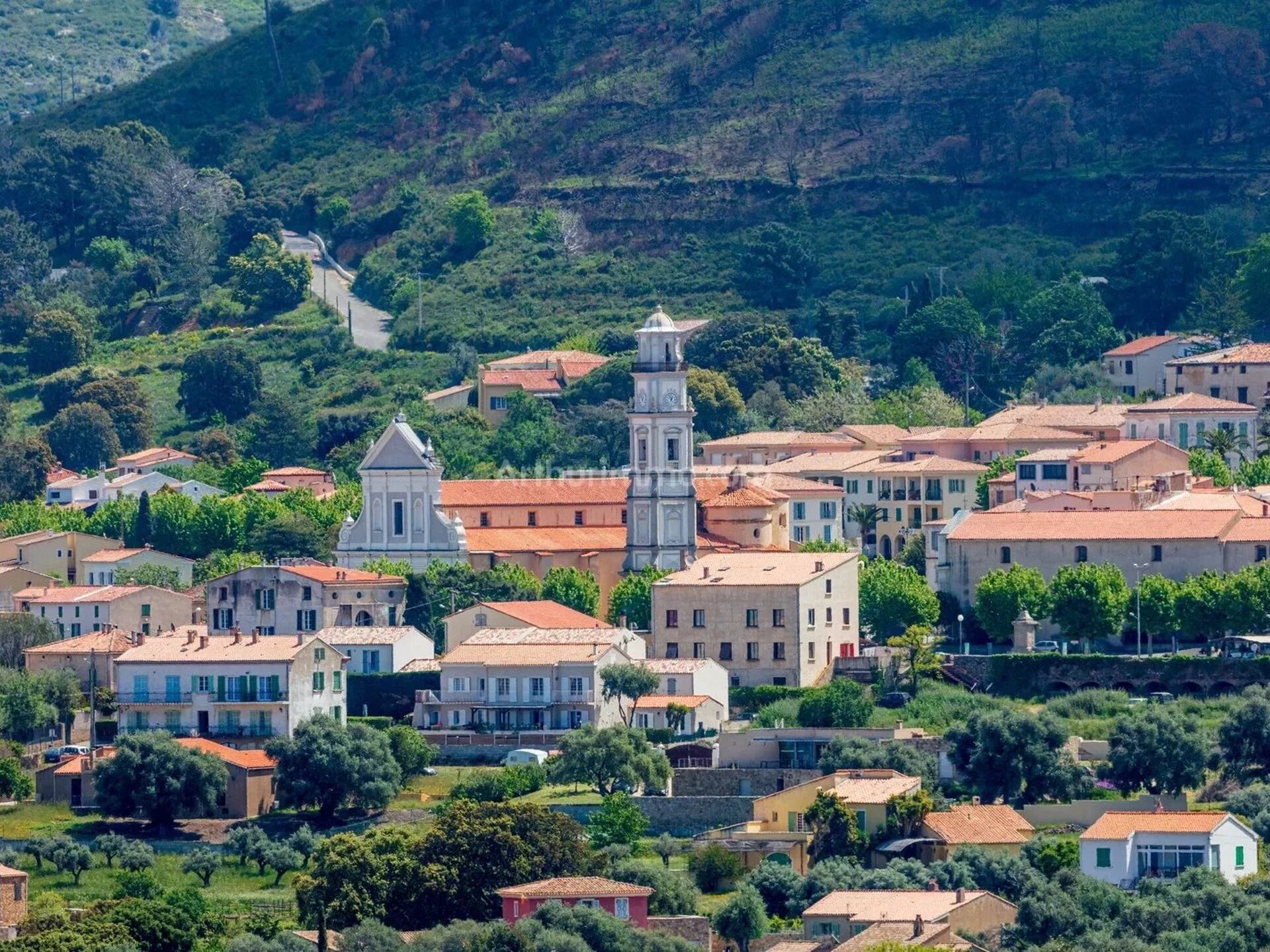 Vente Terrain à Calenzana (20214) - Arthurimmo