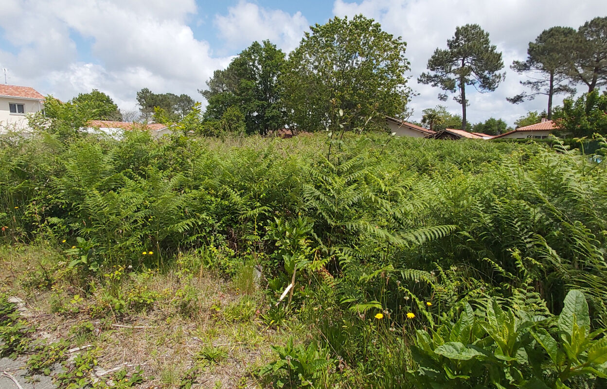 terrain  pièces 603 m2 à vendre à Vielle-Saint-Girons (40560)