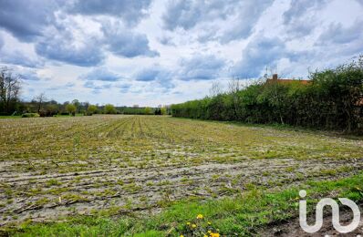 vente terrain 212 500 € à proximité de Auchy-Lez-Orchies (59310)