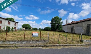 Photo N° 5