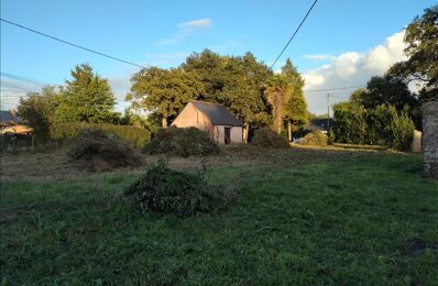 vente terrain 123 625 € à proximité de Mauves-sur-Loire (44470)