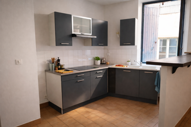 Appartement 2 pièces 480 €