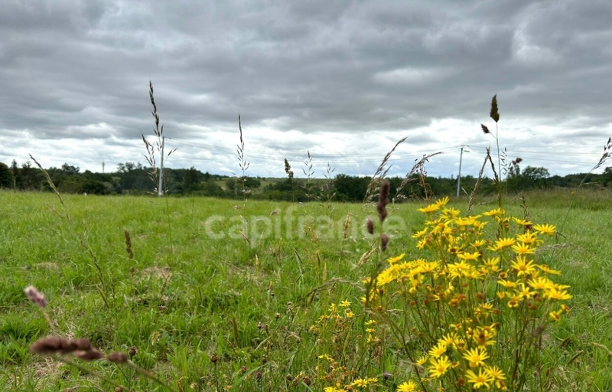 terrain  pièces 1000 m2 à vendre à Saint-Laurent-du-Plan (33190)