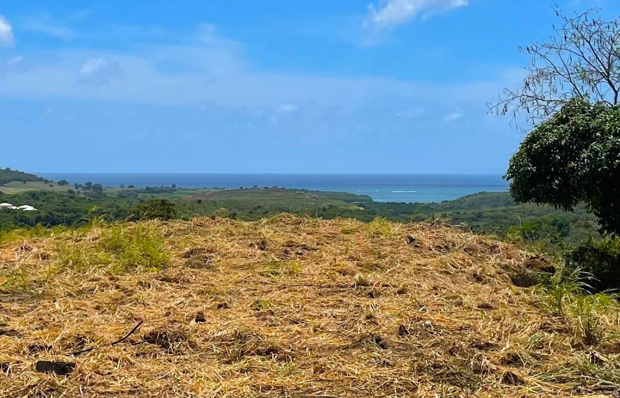 terrain  pièces 484 m2 à vendre à Rivière-Salée (97215)