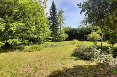 Terrain  409500 €
