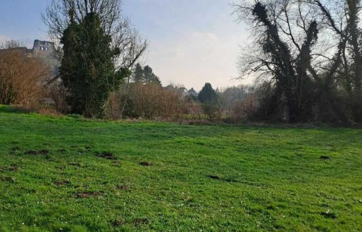 terrain  pièces 2472 m2 à vendre à Coucy-le-Château-Auffrique (02380)