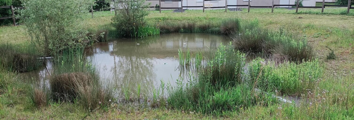 Appartement 4 Pièces 68 m² à louer à Buzançais (36500)