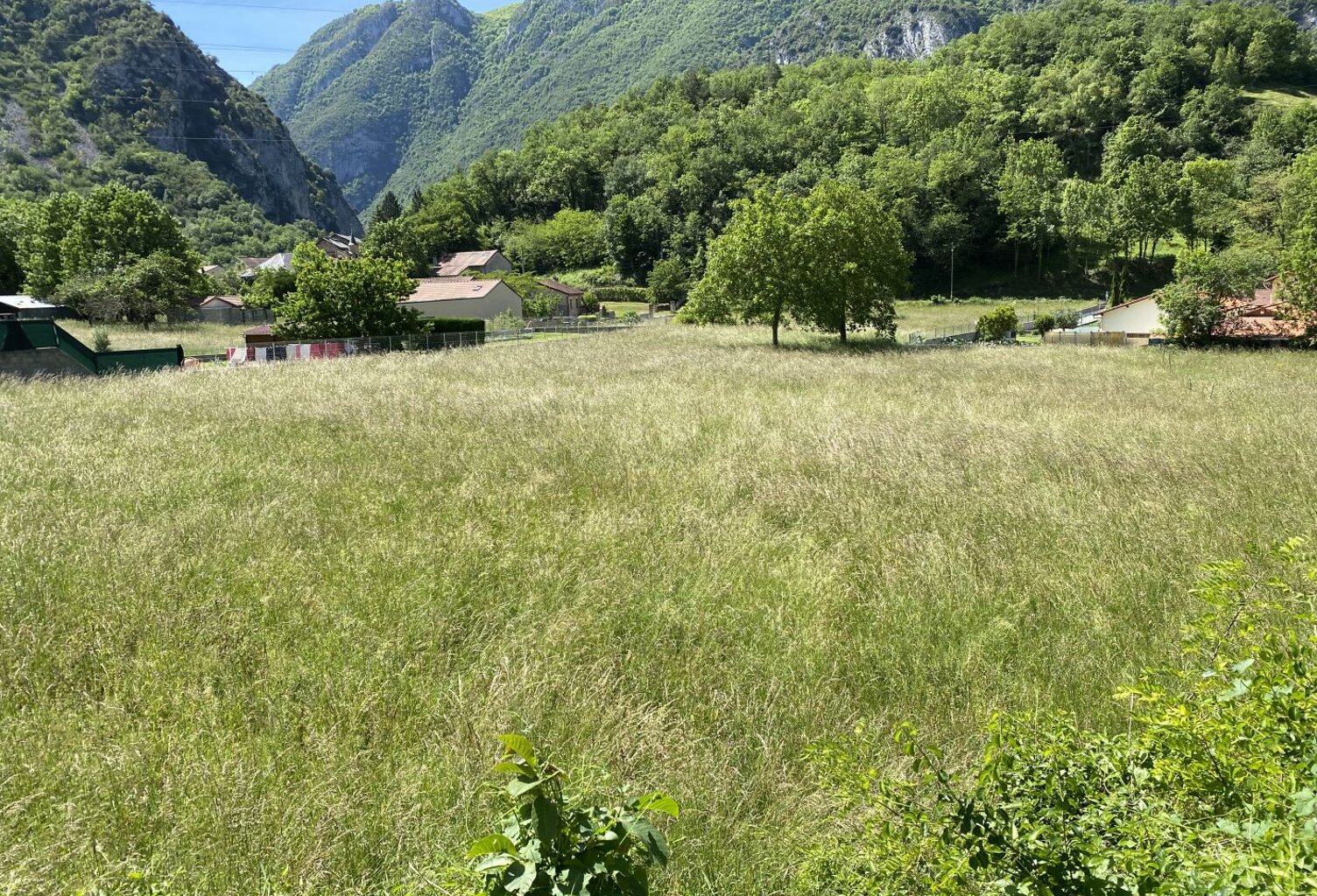 Terrain — photo 1