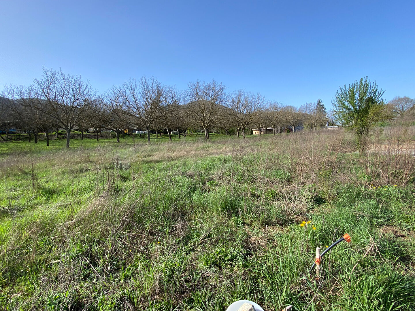 Agence immobilière de Square Habitat Sud Hautes Alpes