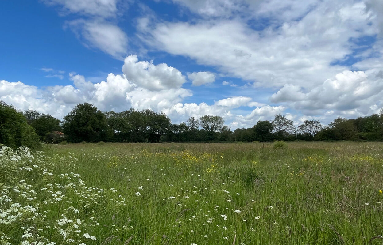 terrain  pièces 1000 m2 à vendre à Le Cellier (44850)