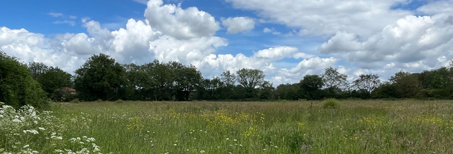 Terrain  1000 m² à vendre à Le Cellier (44850)