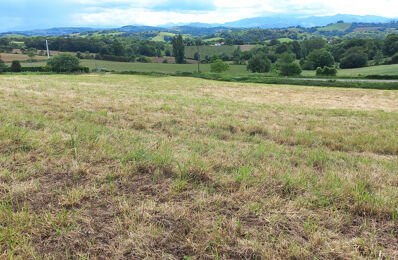 vente terrain 211 000 € à proximité de Salies-de-Béarn (64270)