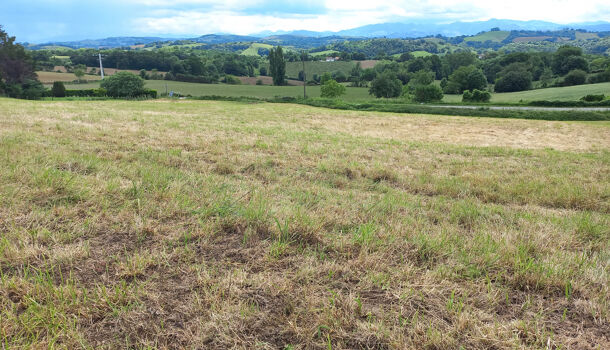 Terrain  à vendre Domezain-Berraute 64120