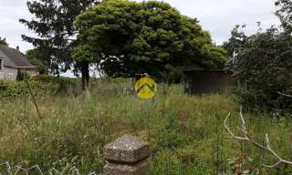 Photo N° 5