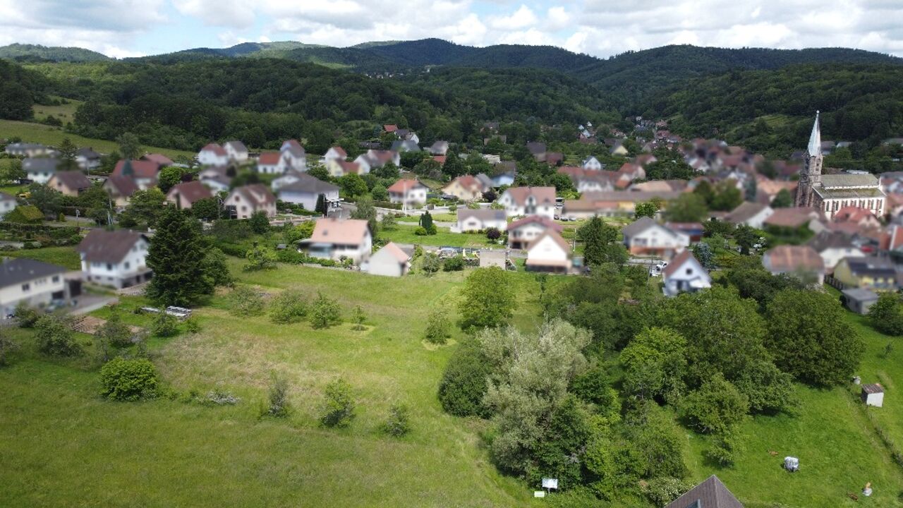 terrain  pièces 530 m2 à vendre à Roderen (68800)