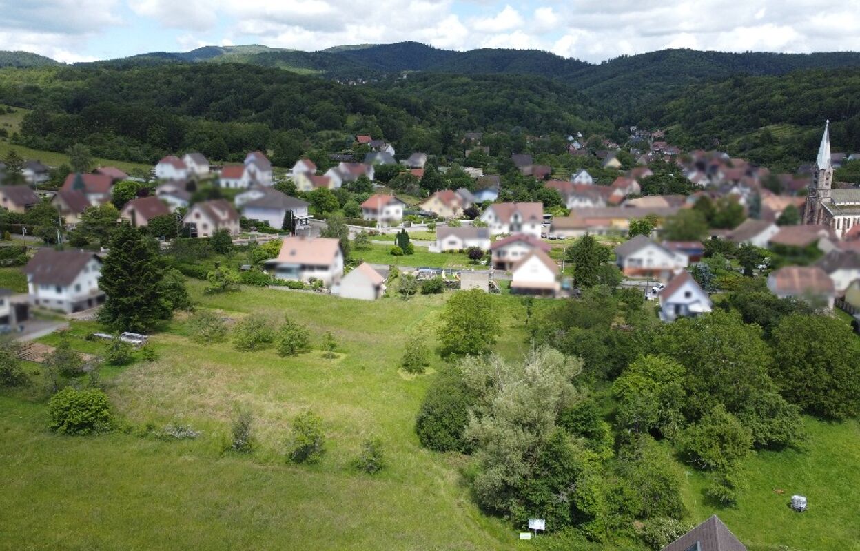 terrain  pièces 530 m2 à vendre à Roderen (68800)