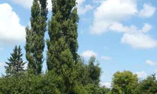 Terrain  6315 m² à vendre à Crux-la-Ville (58330)