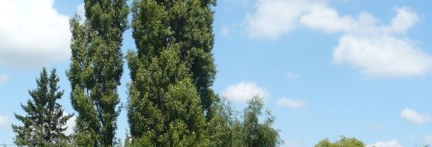 Terrain  6315 m² à vendre à Crux-la-Ville (58330)