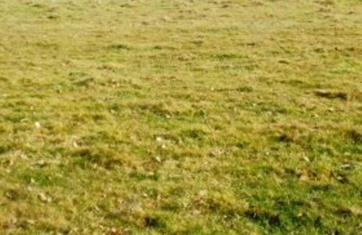 Terrain à bâtir 6315 m2 - possible 3 lots - 55000 € — photo 3