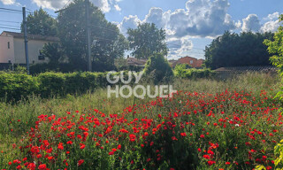 Photo N° 3