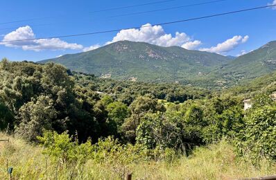 vente terrain 260 000 € à proximité de Corse-du-Sud (2A)