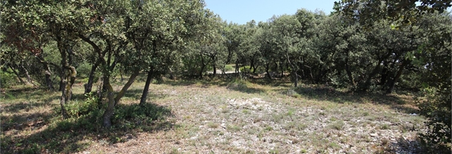 Terrain 900 m² à construire Cavaillon (84300)