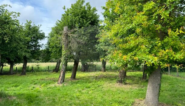 Terrain  à vendre Breuillet 17920