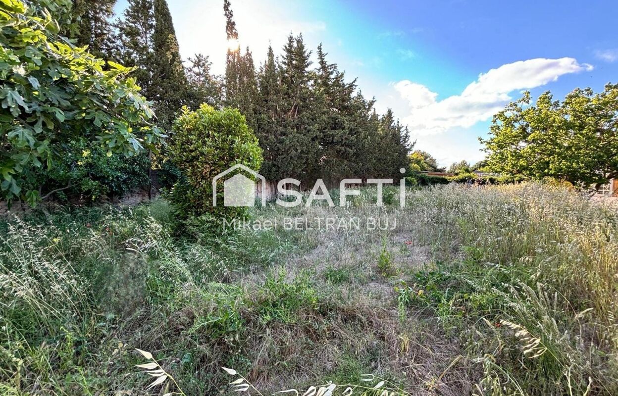 terrain  pièces 630 m2 à vendre à Frontignan (34110)